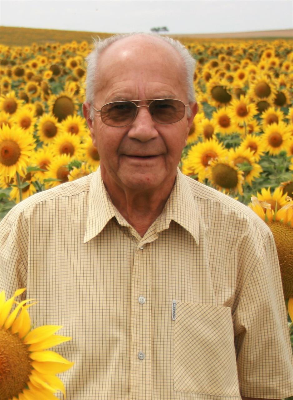 Rouwregister dentandt be